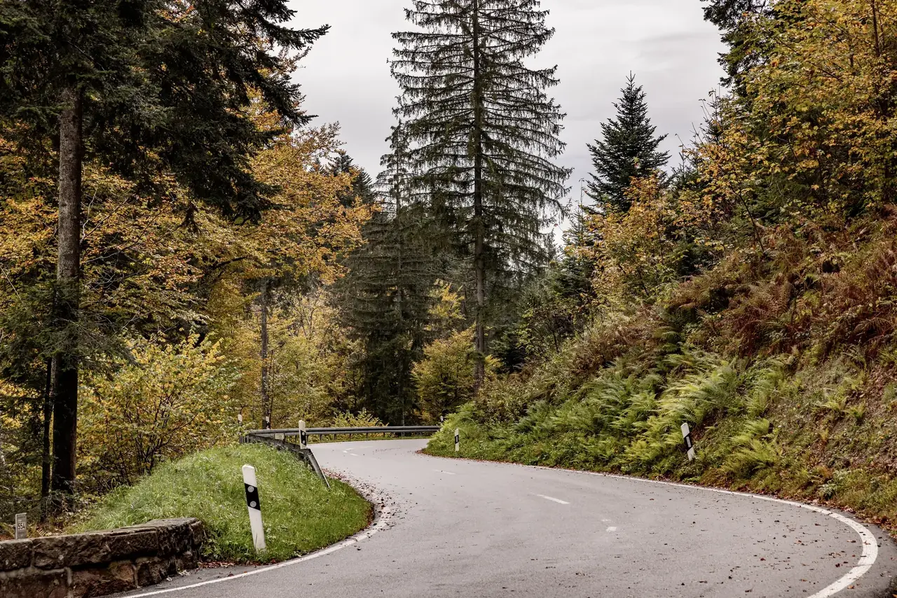 Schwarzwald-Hochstraße – Panoramastraße durch den nördlichen Schwarzwald
